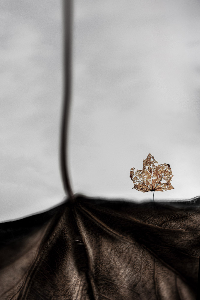 Platz 12 Andreas Doenhuber